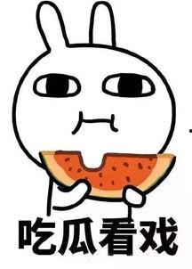 111娱乐吃瓜,揭秘娱乐圈的“吃瓜”盛宴  第2张