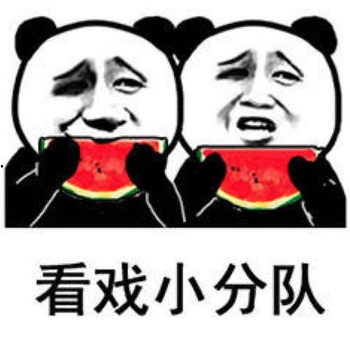 娱乐圈吃瓜壁纸动态高清,高清壁纸见证吃瓜时刻  第3张