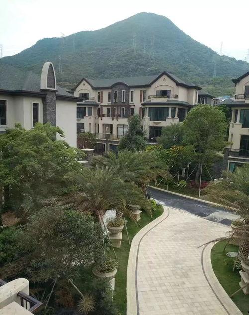 718娱乐吃瓜新地址,吃瓜群众的新聚集地  第3张