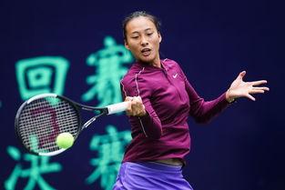 郑钦文,文学巨匠的传奇人生与创作轨迹